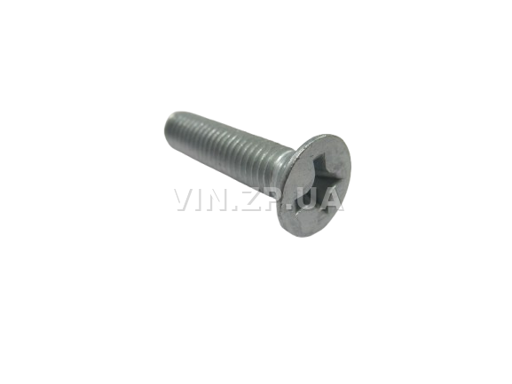 Винт крепления замка двери ВАЗ 2108, 2109, 21099, 2110, 2111, 2112, 2114, 2115 МЕТИЗ М8 x 1.25 х 35 2