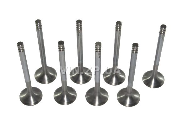 Клапан RAF ВАЗ 2110, 2111, 2112, 16 клап двиг, комплект впуск 8 шт 3